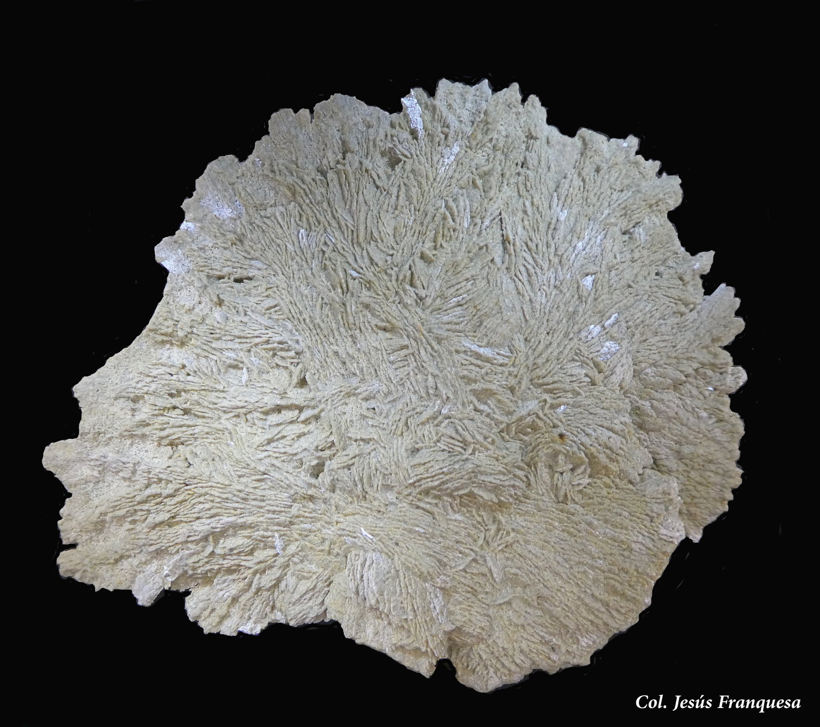 Yeso.
100x80 mm.
(Autor: Jesus Franquesa Baucells)