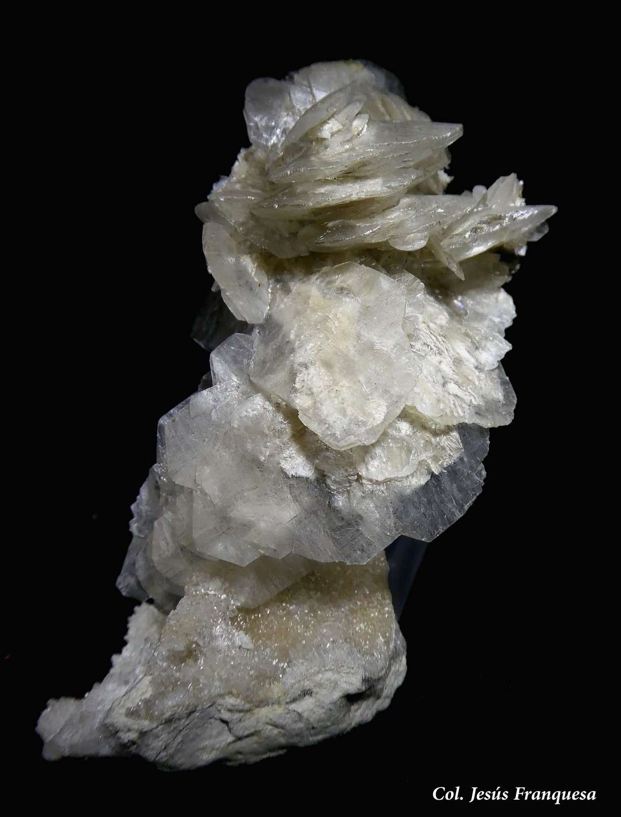 Yeso.
80x25 mm.
(Autor: Jesus Franquesa Baucells)