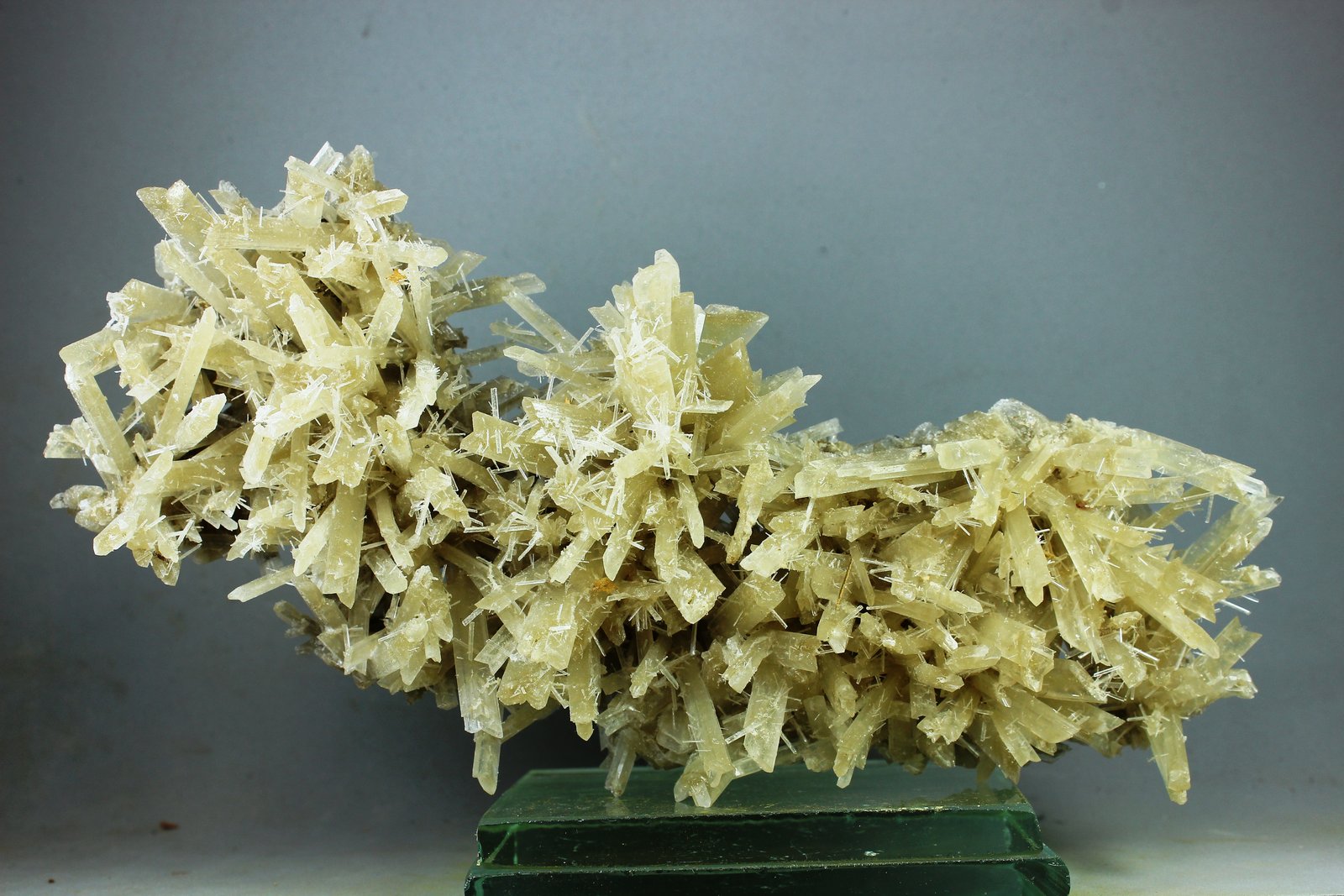 Yeso
145X64X32 mm
(Autor: Juan Espino)