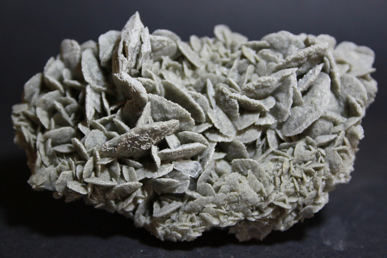 Yeso
85 x 50 mm
(Autor: Joaquin Blanco Cortina)