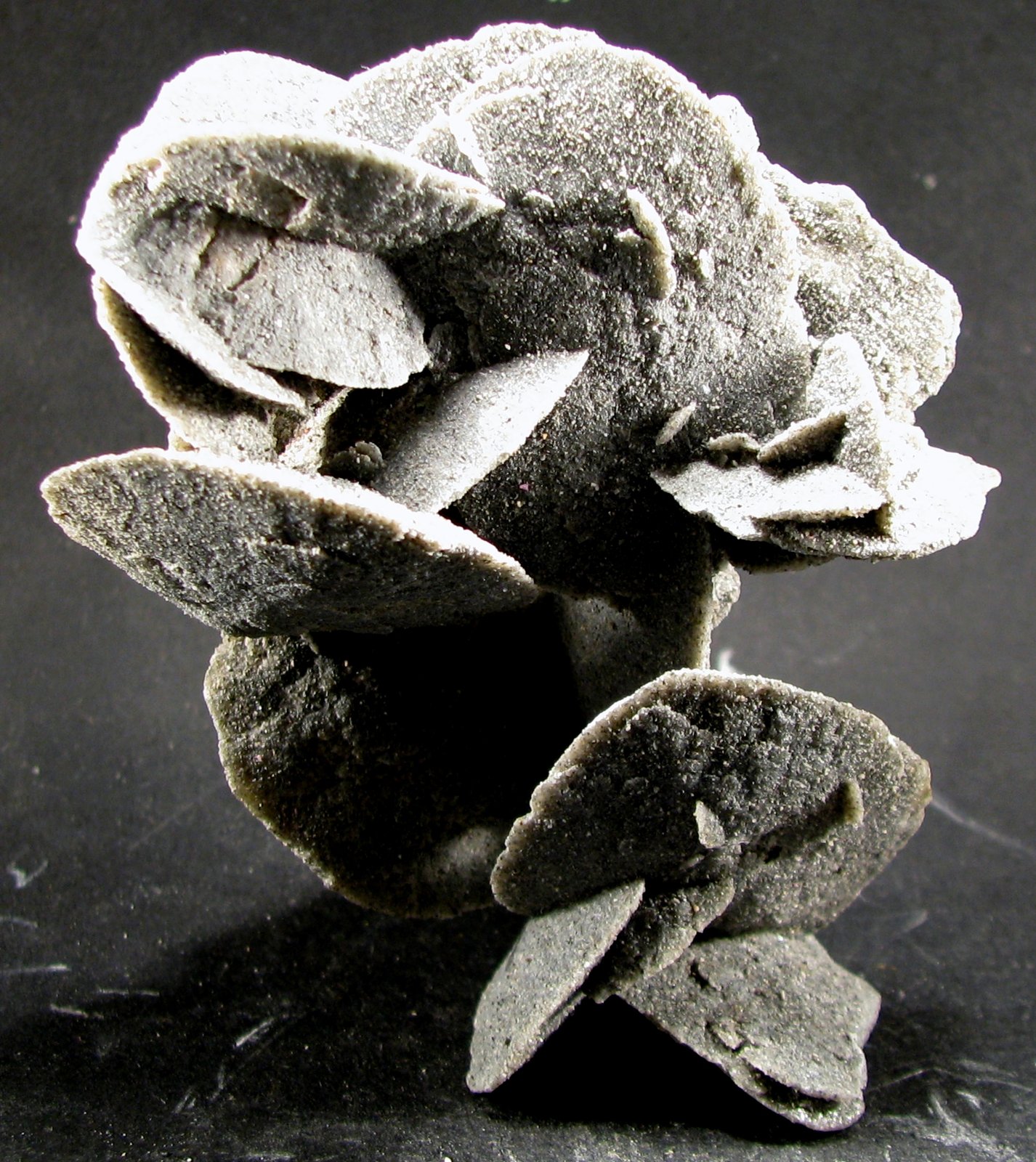 Yeso
80 x 56 x 32 mm.
(Autor: José Luis Zamora)