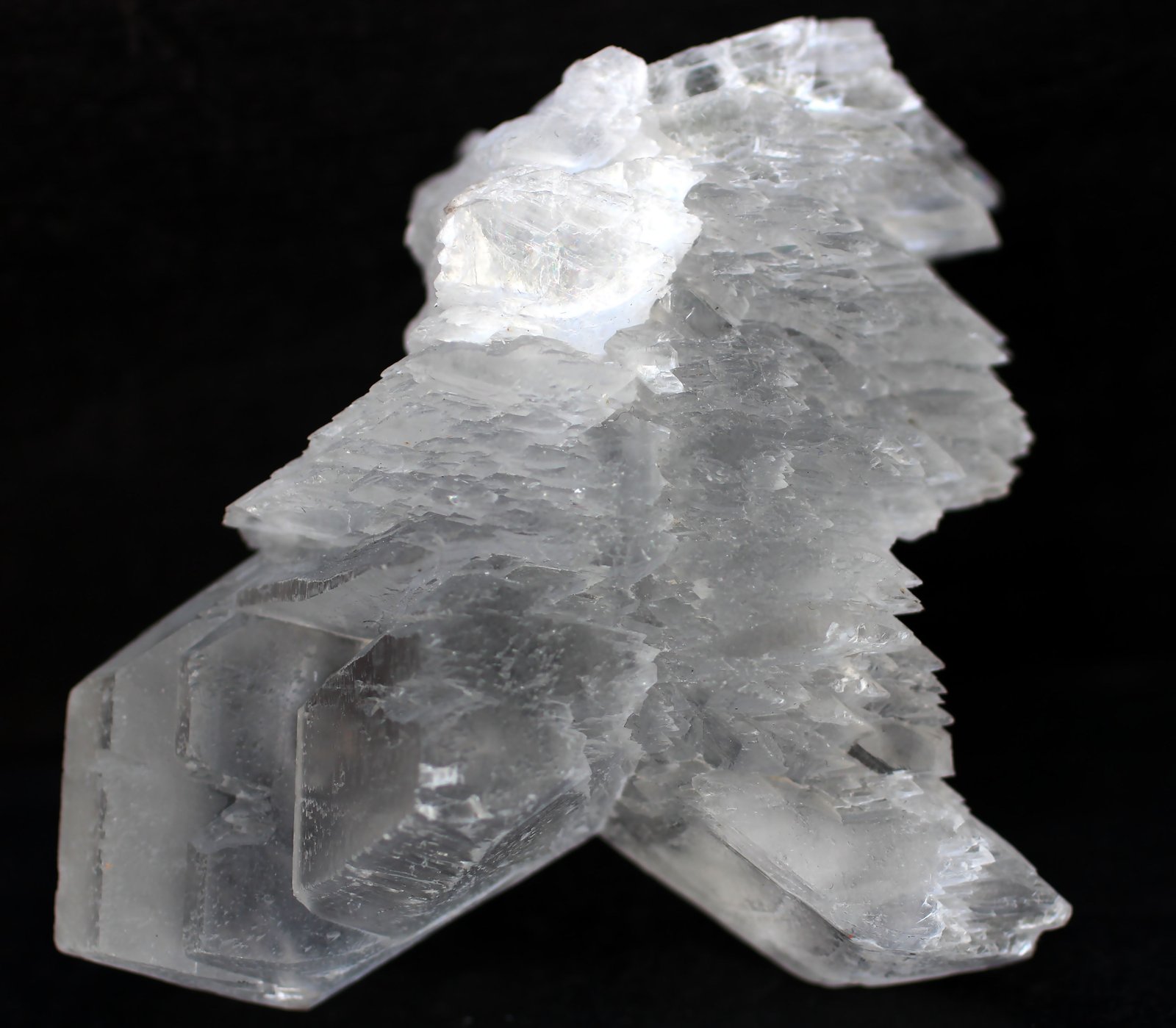 Yeso (variedad selenita)
92 x 66 x 30 mm.
(Autor: José Luis Zamora)