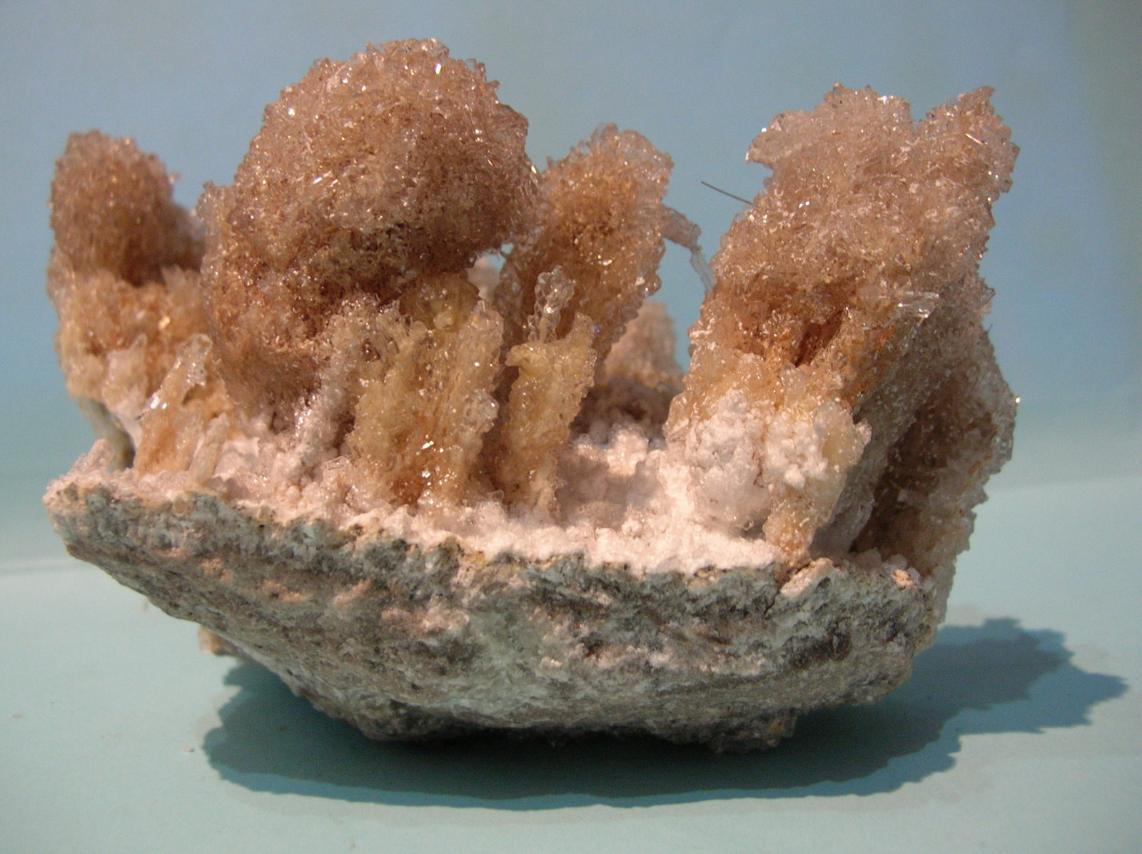 Yeso
11 x 9 x 7 cm
(Autor: Pedro Conesa)