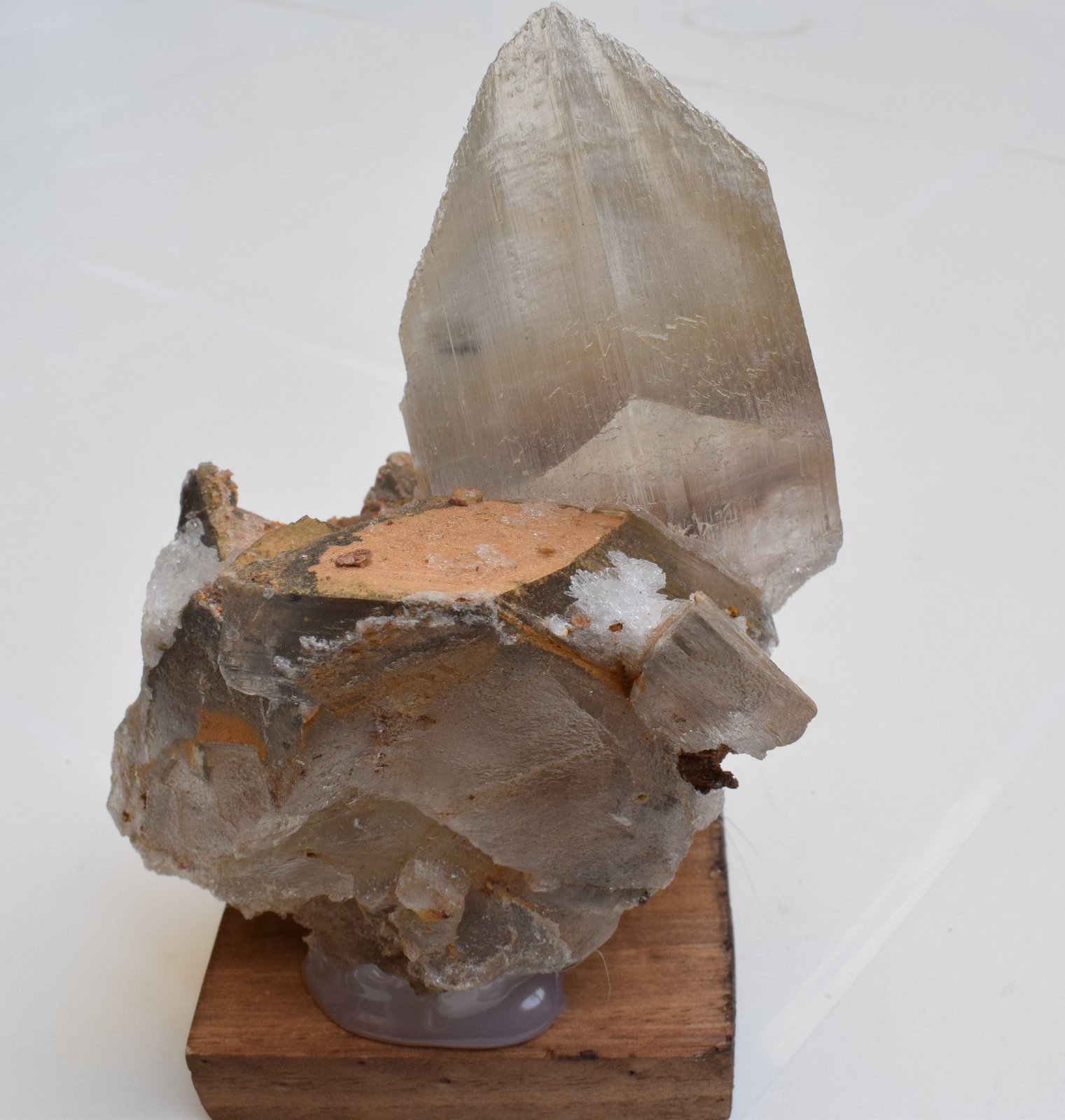 Yeso
11 x 9 x 6 cm
(Autor: Antonio Alcaide)