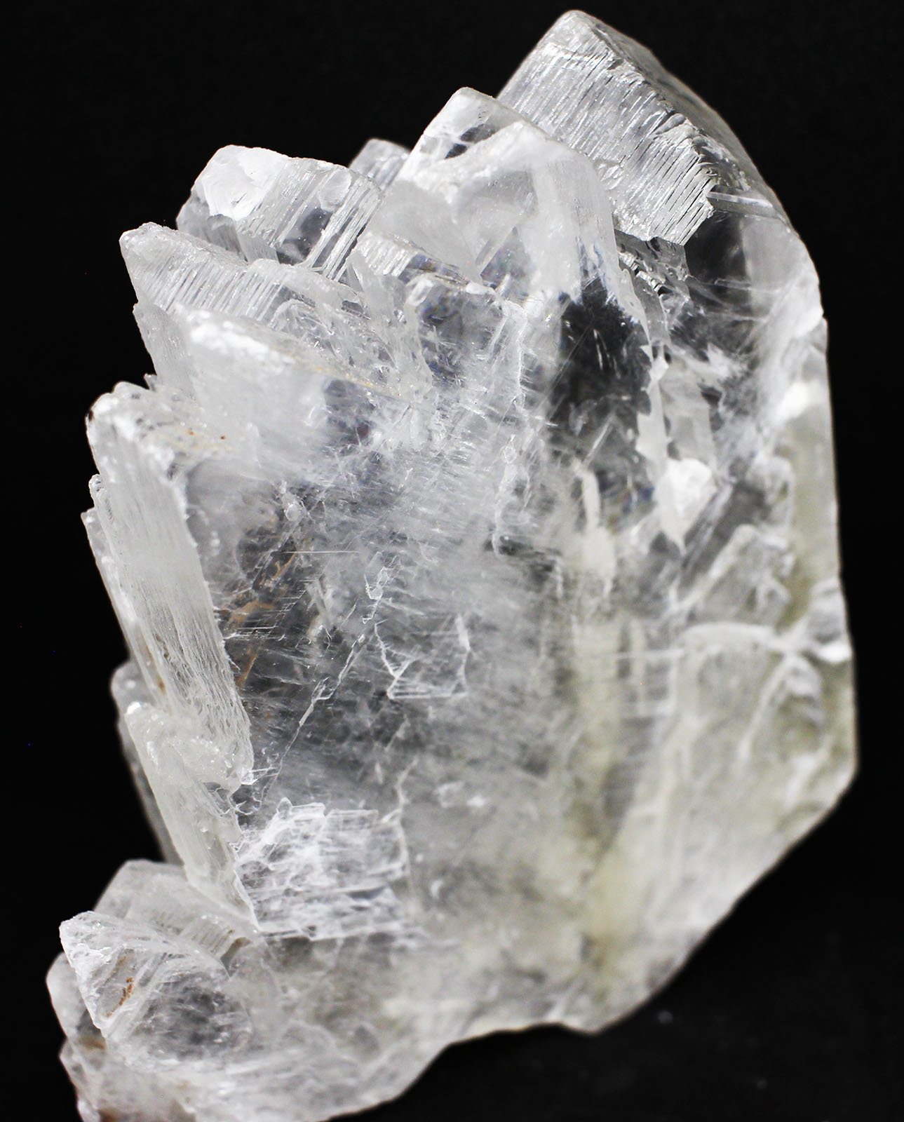 Yeso (variedad selenita)
9x11x3.5 cm
(Autor: Luis Edmundo Sánchez Roja)