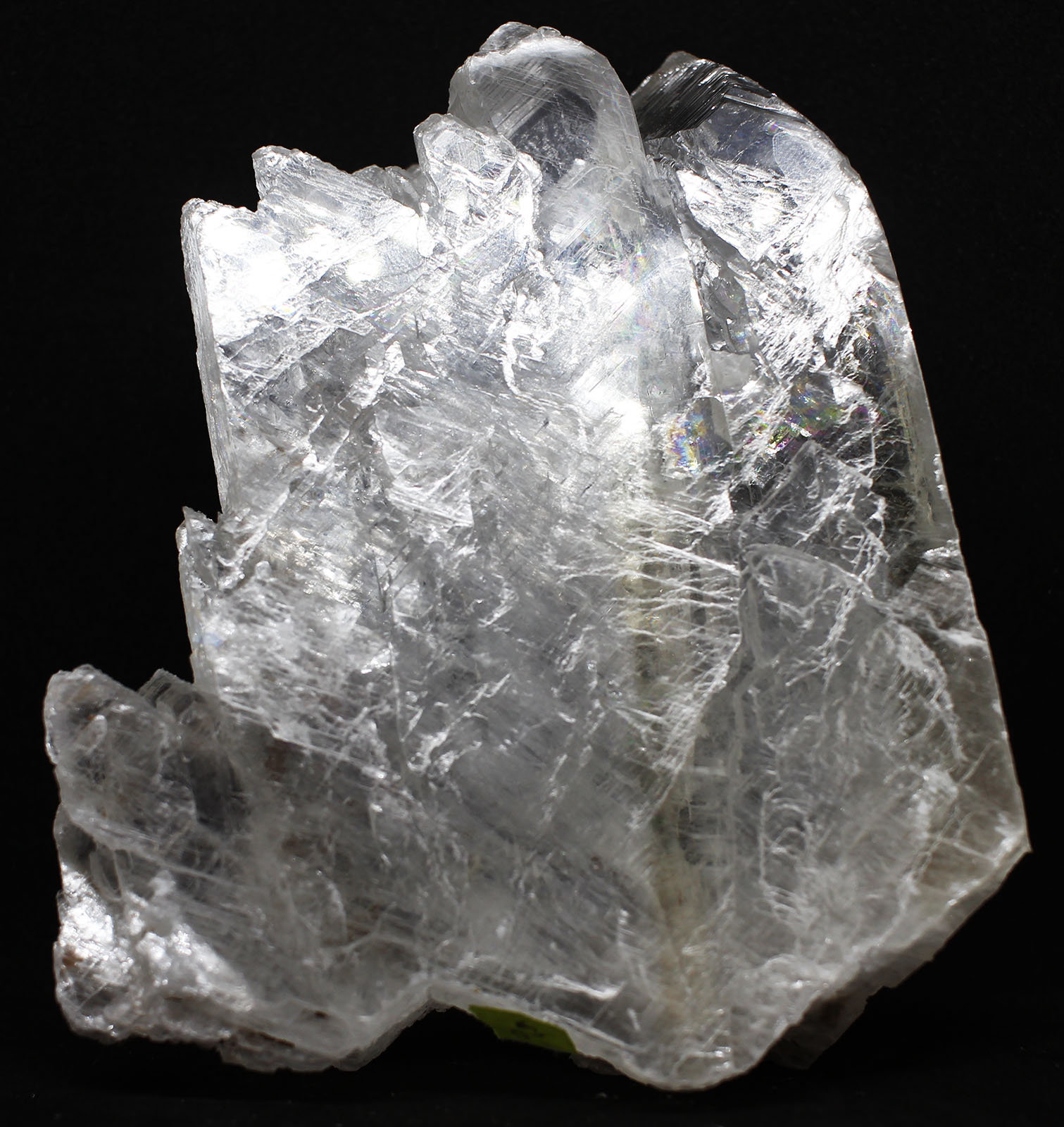 Yeso (variedad selenita)
9x11x3.5 cm
(Autor: Luis Edmundo Sánchez Roja)