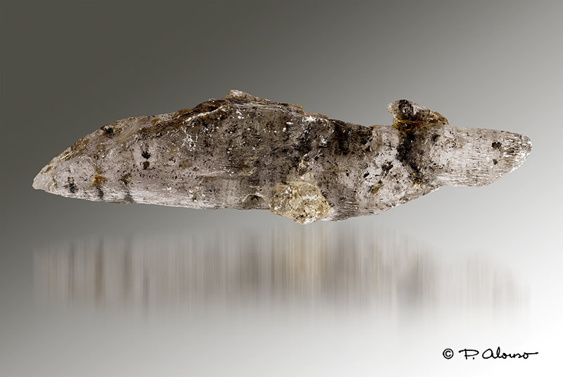 Yeso
15cm x 3,5cm x 2cm
(Autor: Pere Alonso)