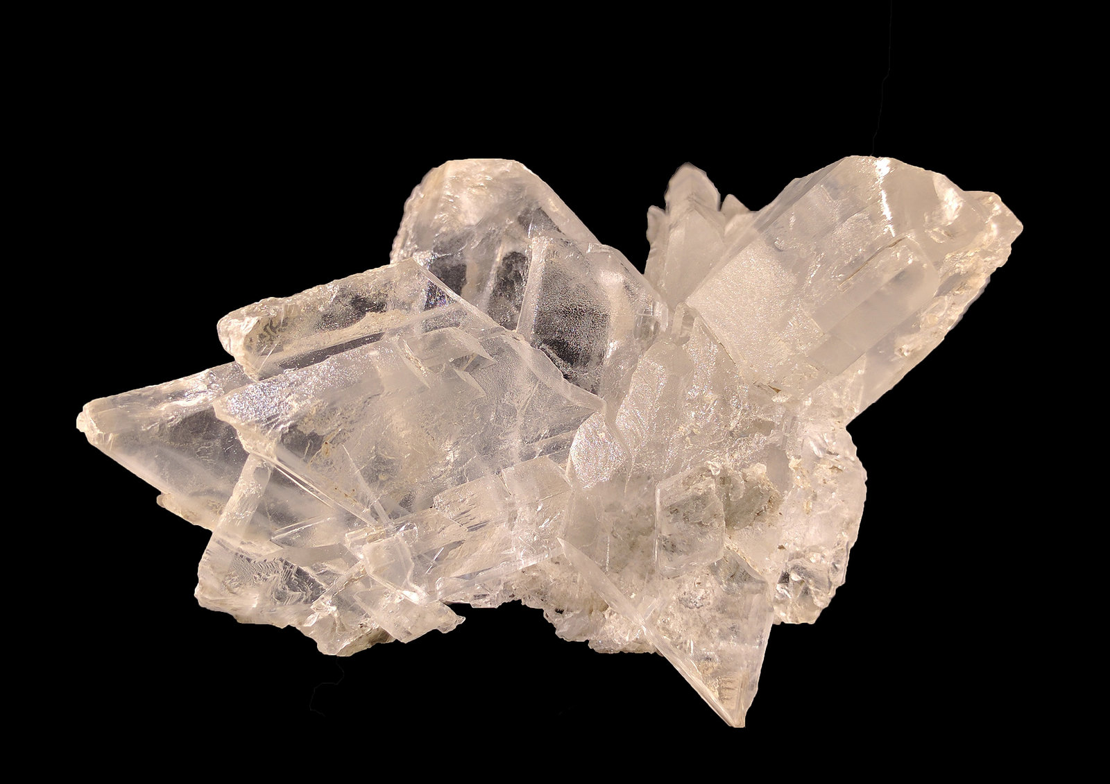 Yeso
7,2 x 5,0 cm.
(Autor: carles)