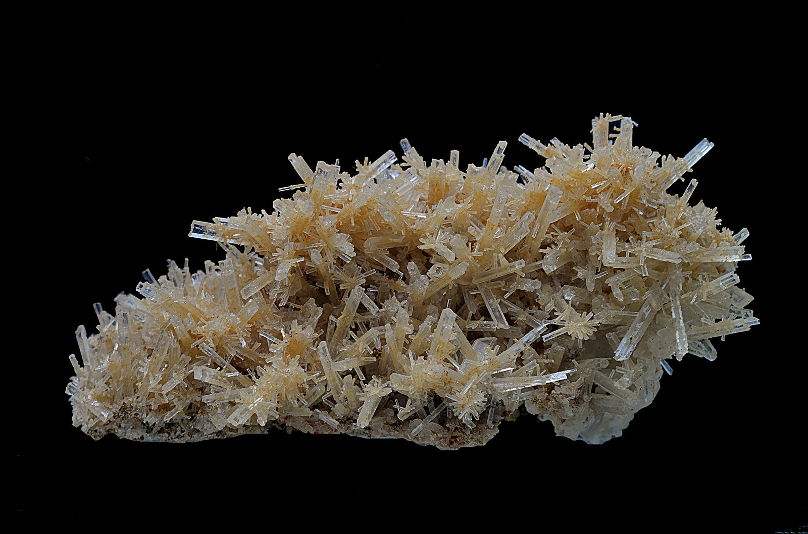 Yeso
77 x 34 mm
(Autor: Antonio Carmona)