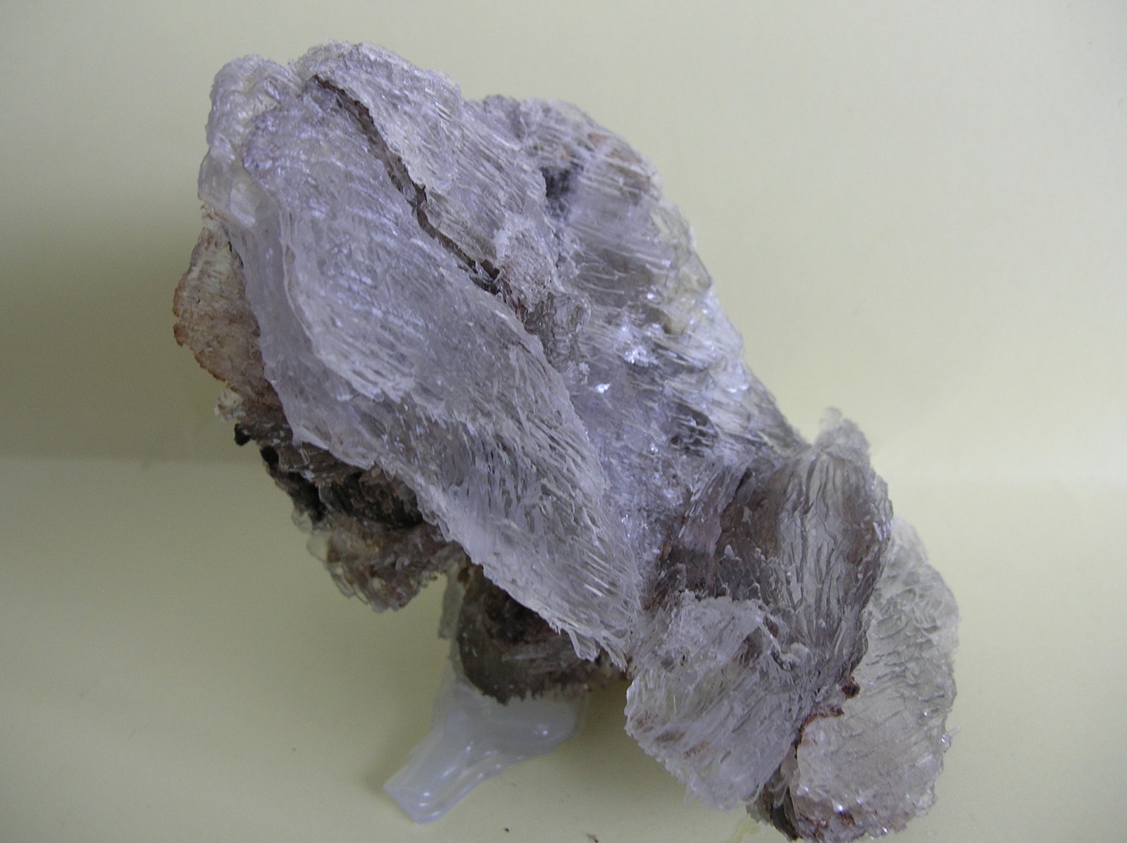 Yeso
13 x 7 cm
(Autor: Pedro Conesa)