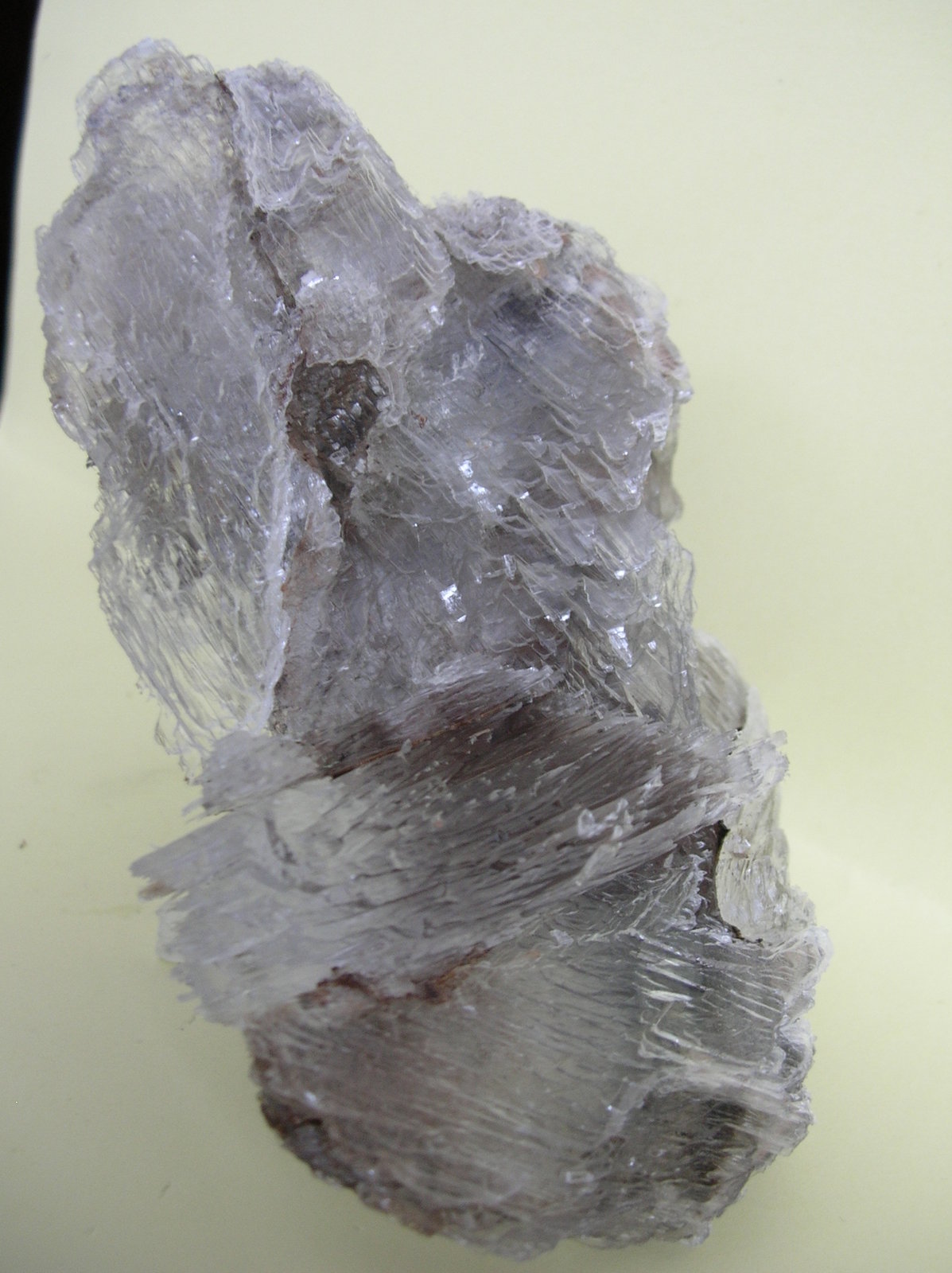Yeso
13 x 7 cm
(Autor: Pedro Conesa)