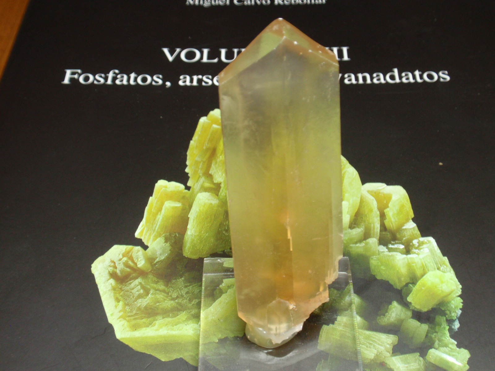Yeso
25x70 mm.
(Autor: Ignacio)