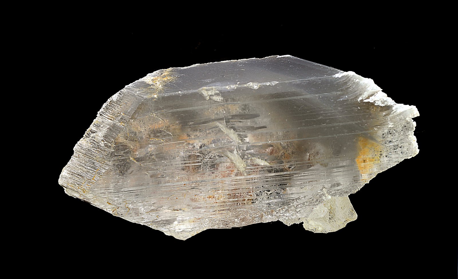 Yeso
9 x 4 cm
(Autor: Antonio Carmona)
