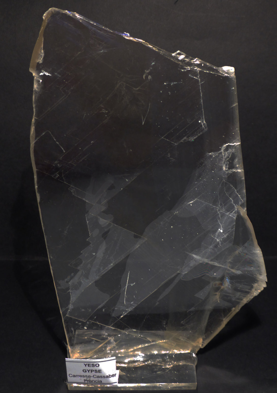 Yeso
18x11 cm
(Autor: Ander Ispizua Juan)