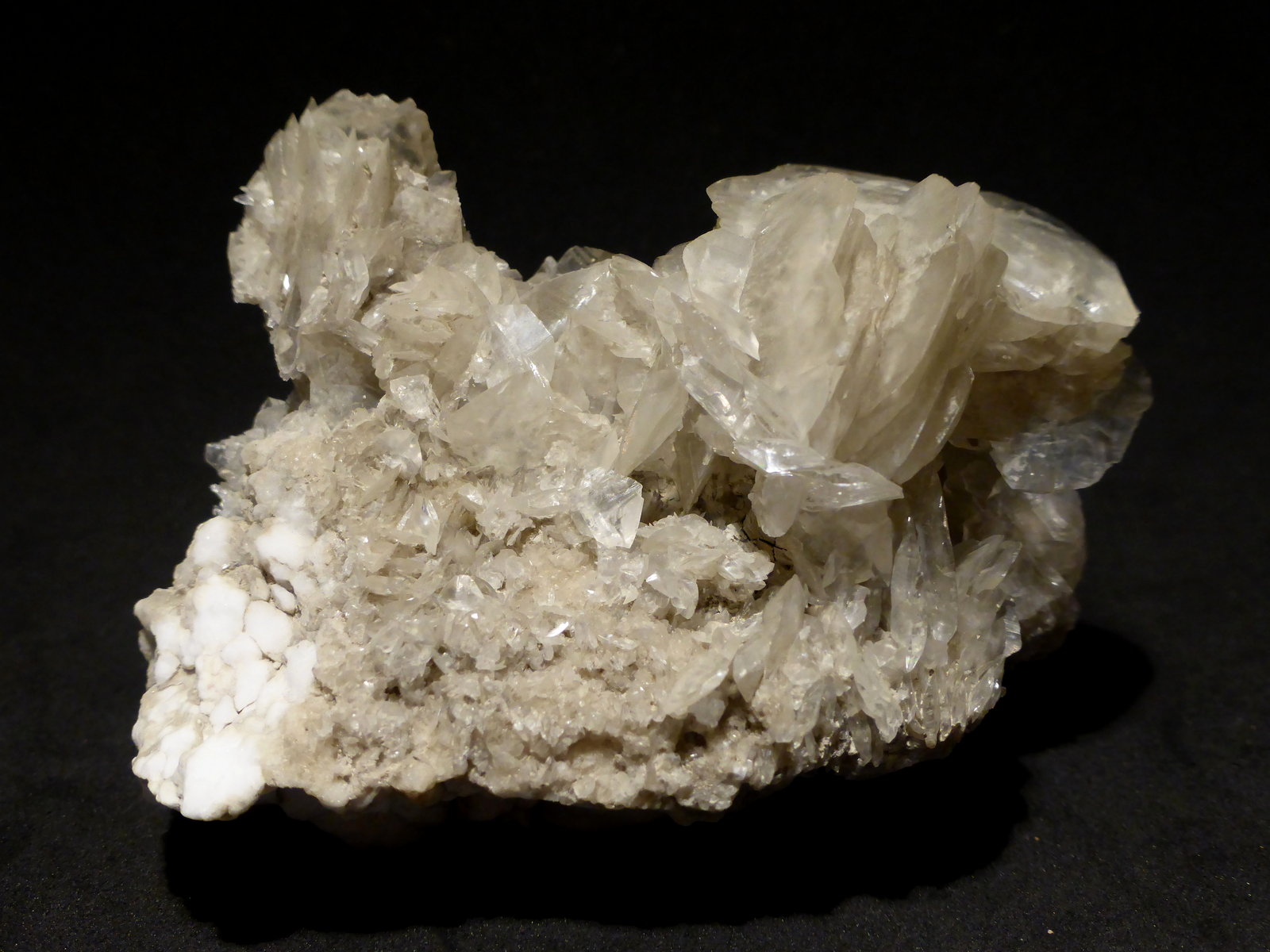 Yeso
8x6 cm
(Autor: Ander Ispizua Juan)