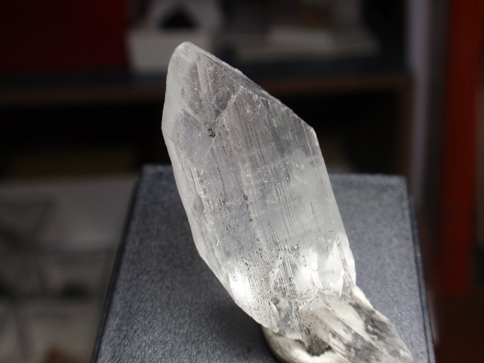 Yeso
15x40 mm
(Autor: Ignacio)