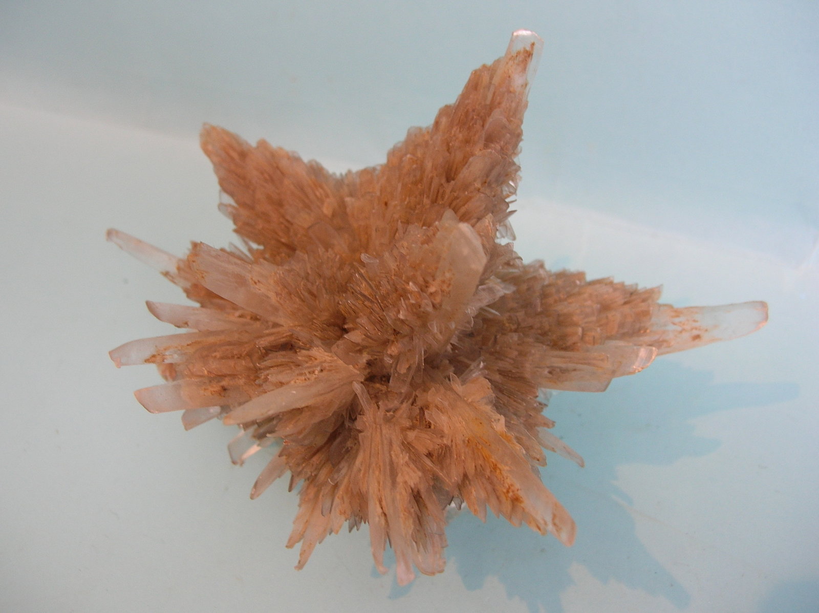 Yeso
11,5 x 8 cm
(Autor: Pedro Conesa)