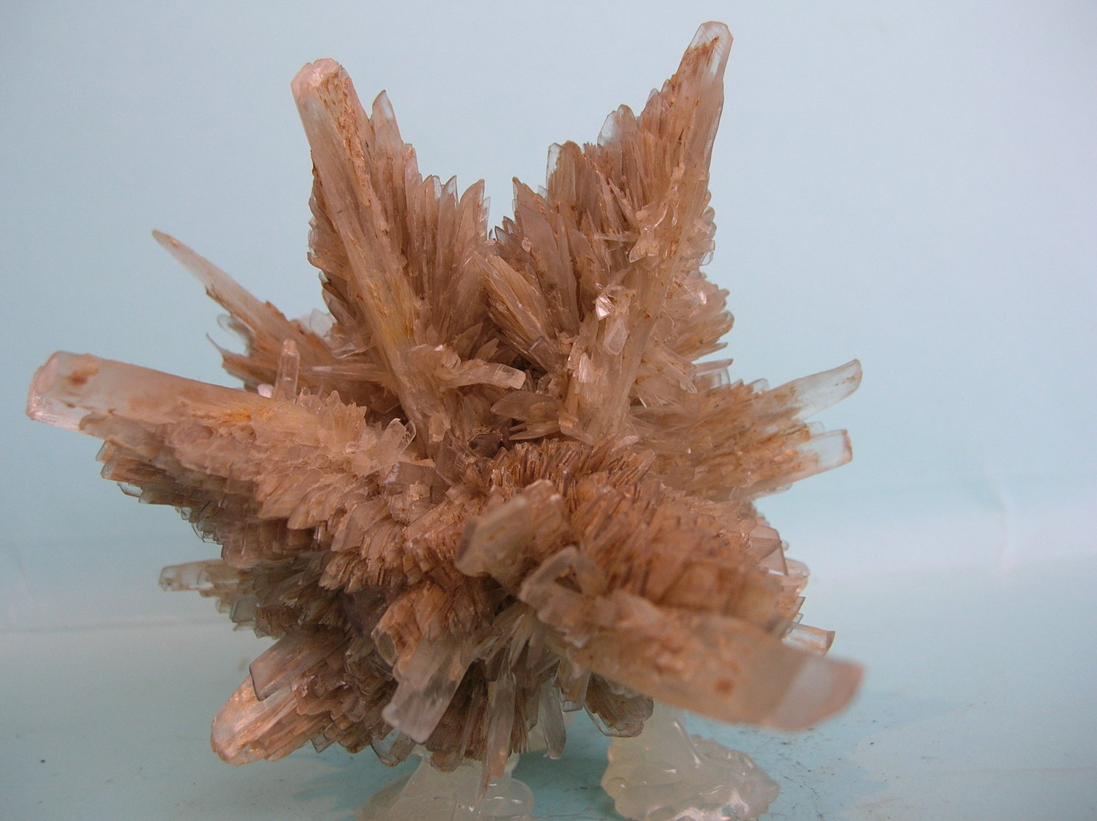 Yeso
11,5 x 8 cm
(Autor: Pedro Conesa)