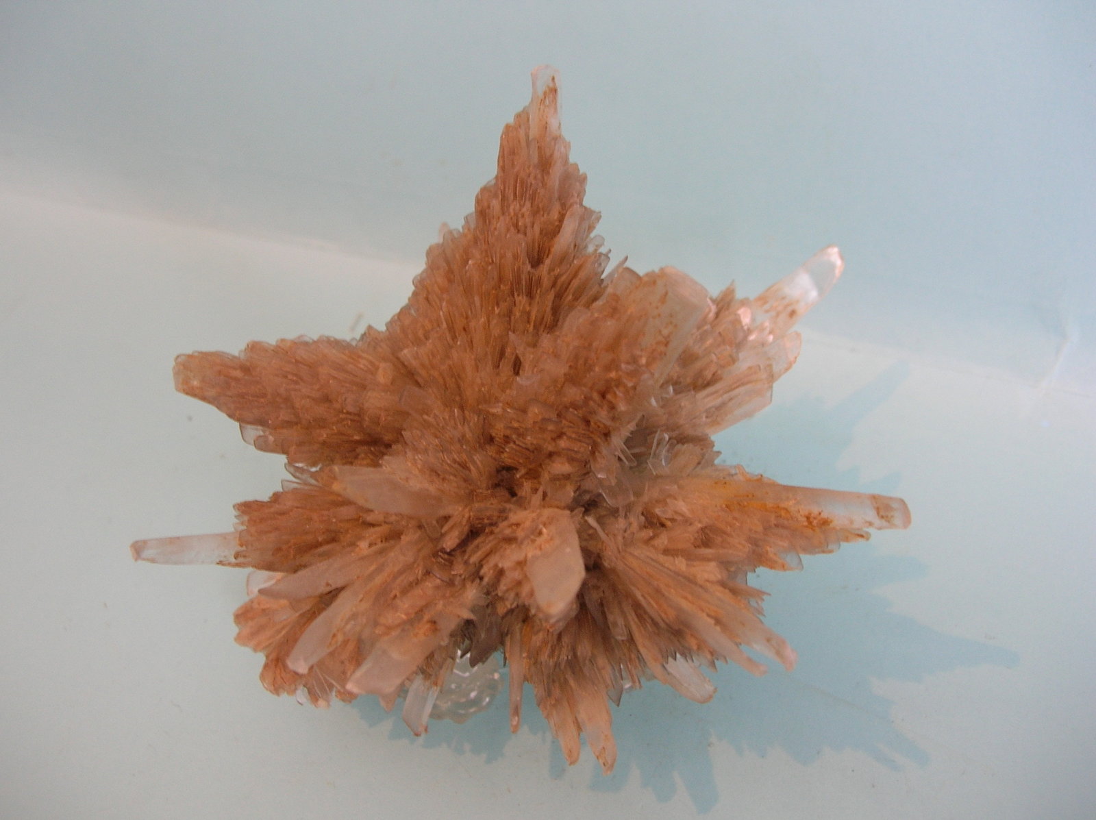 Yeso
11,5 x 8 cm
(Autor: Pedro Conesa)