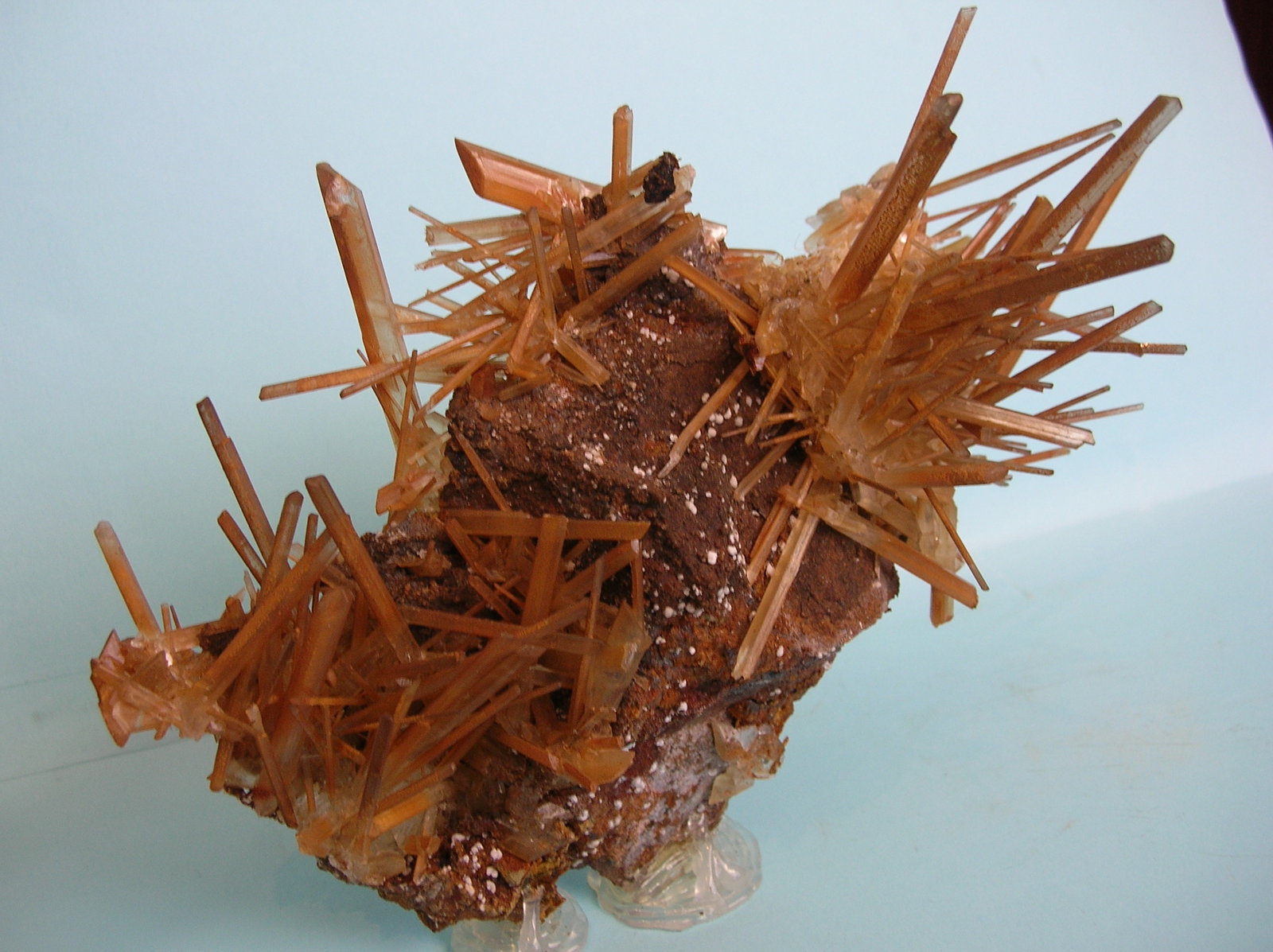Yeso
16 x 13 cm
(Autor: Pedro Conesa)