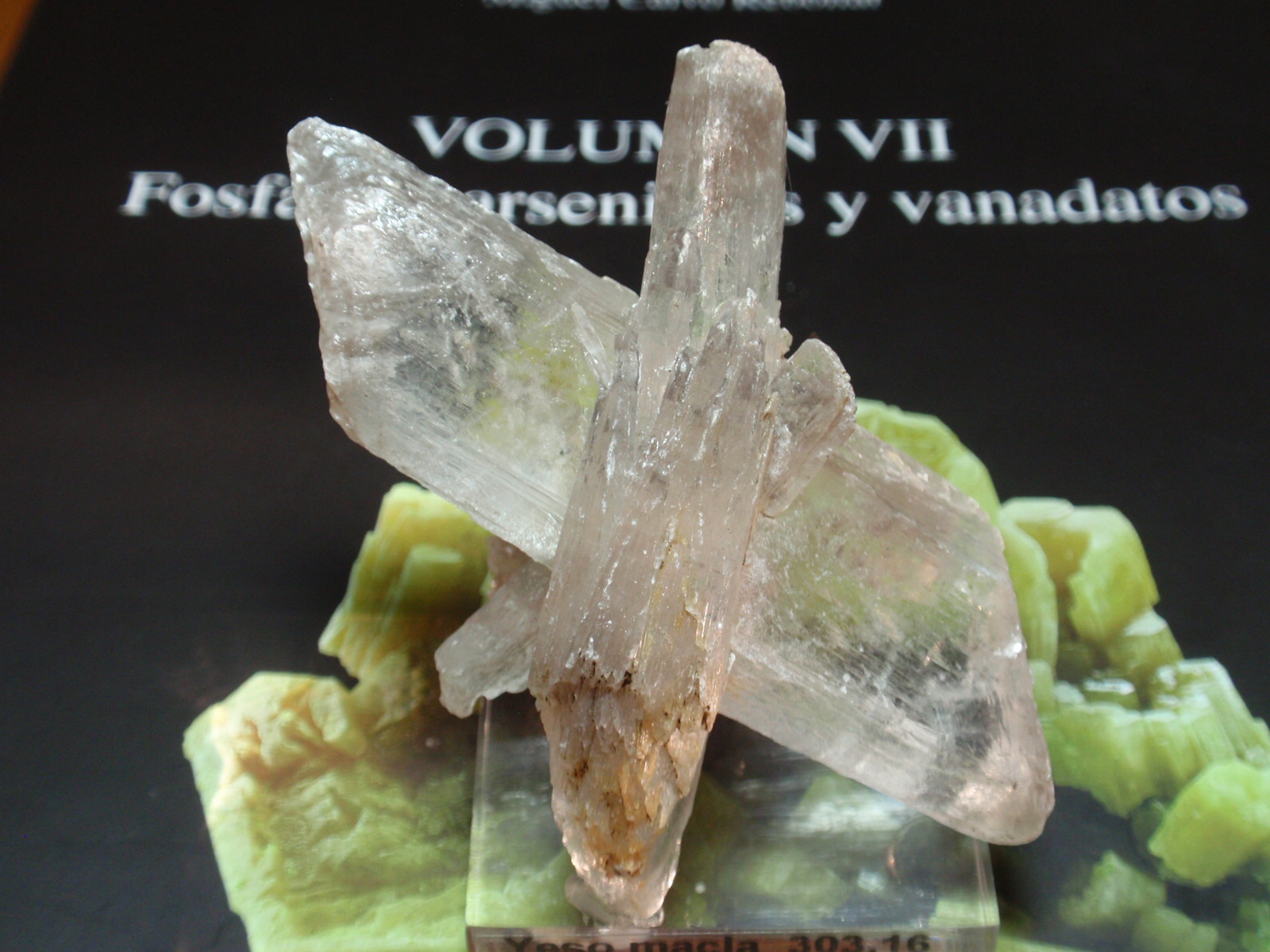 Yeso
50x60 mm
(Autor: Ignacio)