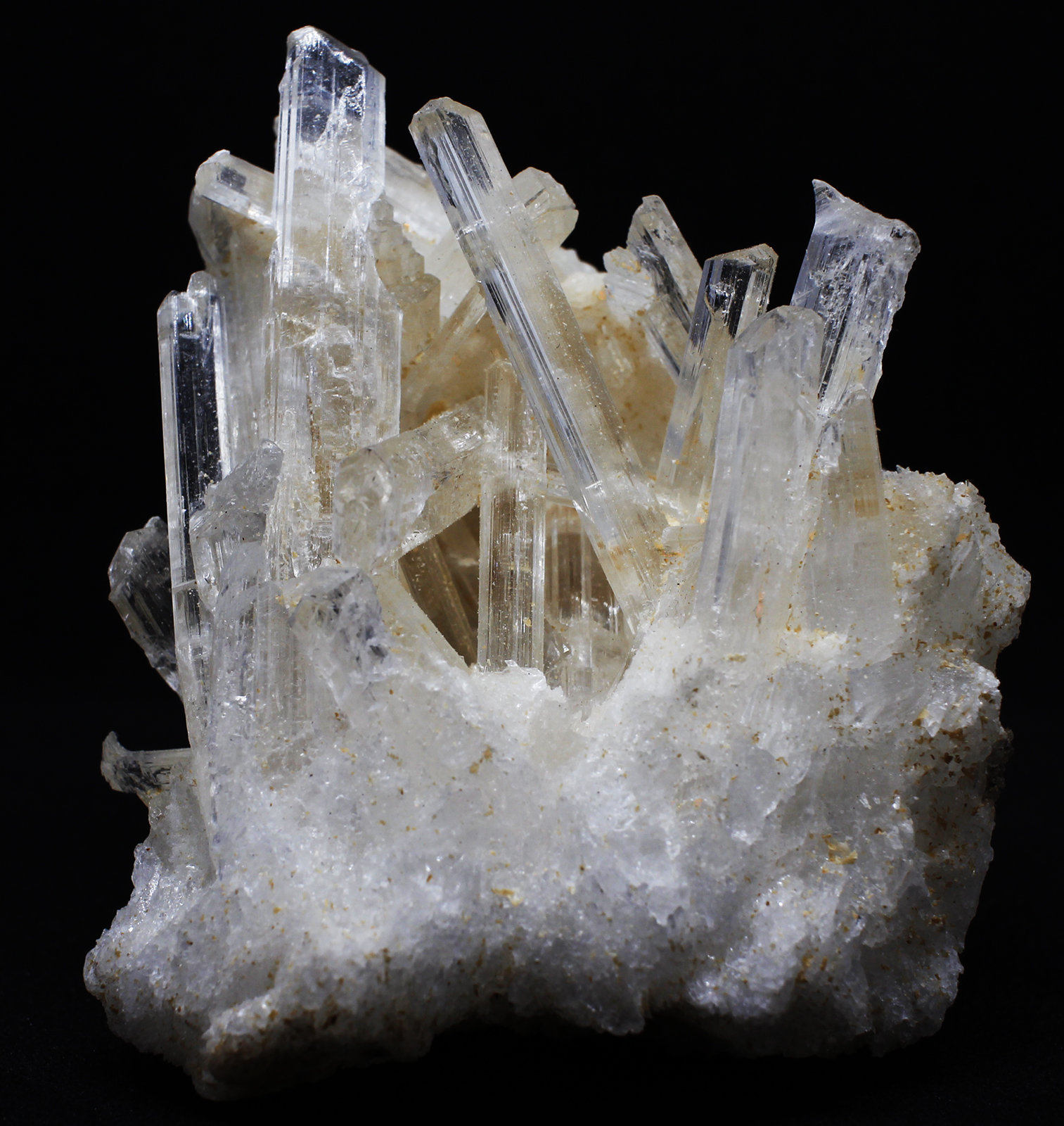 Yeso
5.5x5x1.5 cm
(Autor: Luis Edmundo Sánchez Roja)