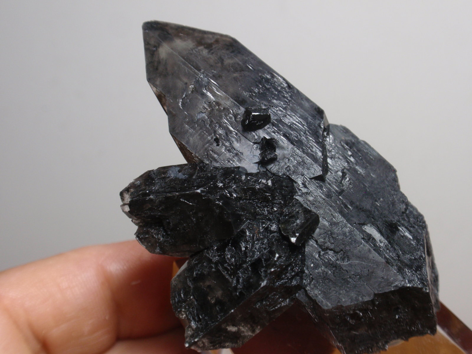 Yeso
40x70 mm
(Autor: Ignacio)