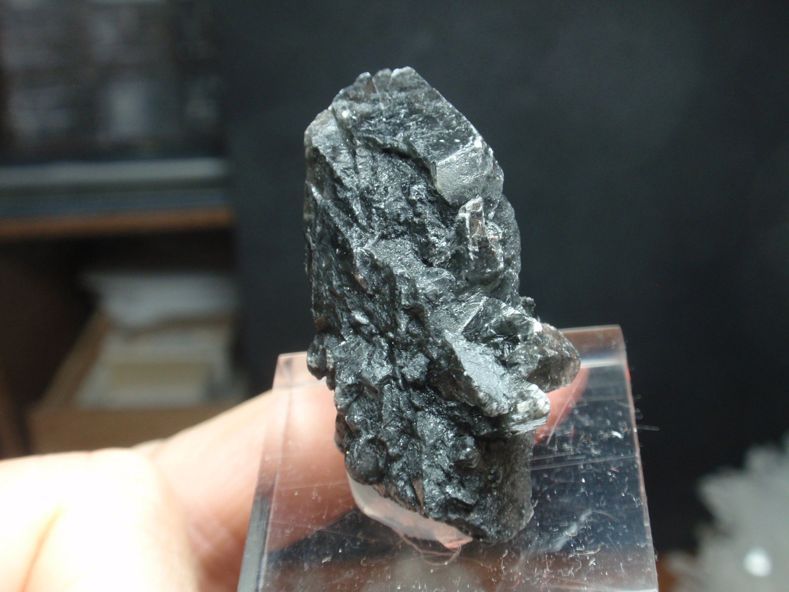 Yeso
20x45 mm
(Autor: Ignacio)