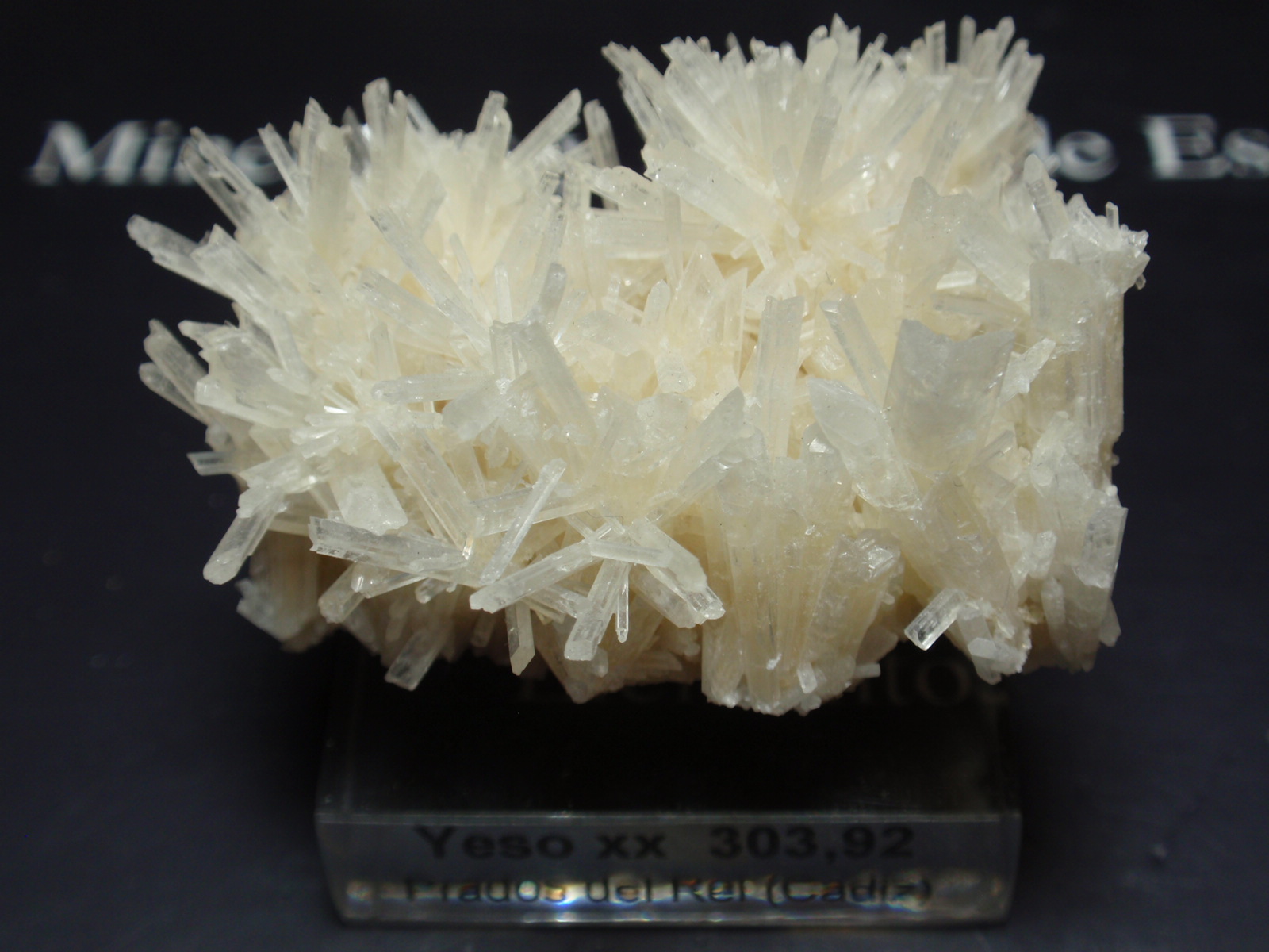 Yeso
45x35 mm
(Autor: Ignacio)