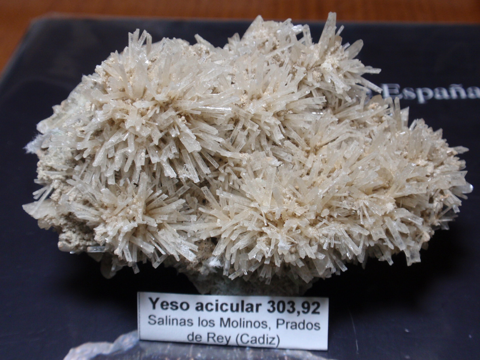 Yeso
80x60 mm
(Autor: Ignacio)