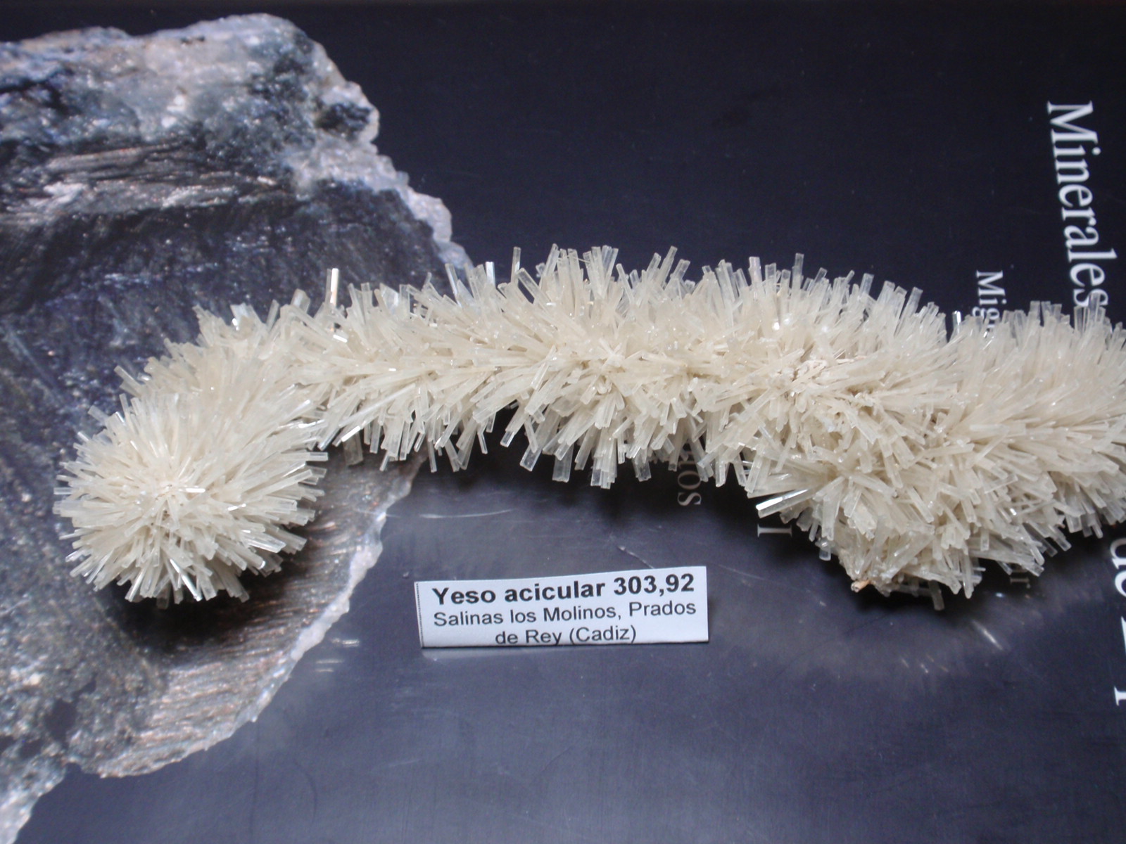 Yeso
130x50 mm
(Autor: Ignacio)