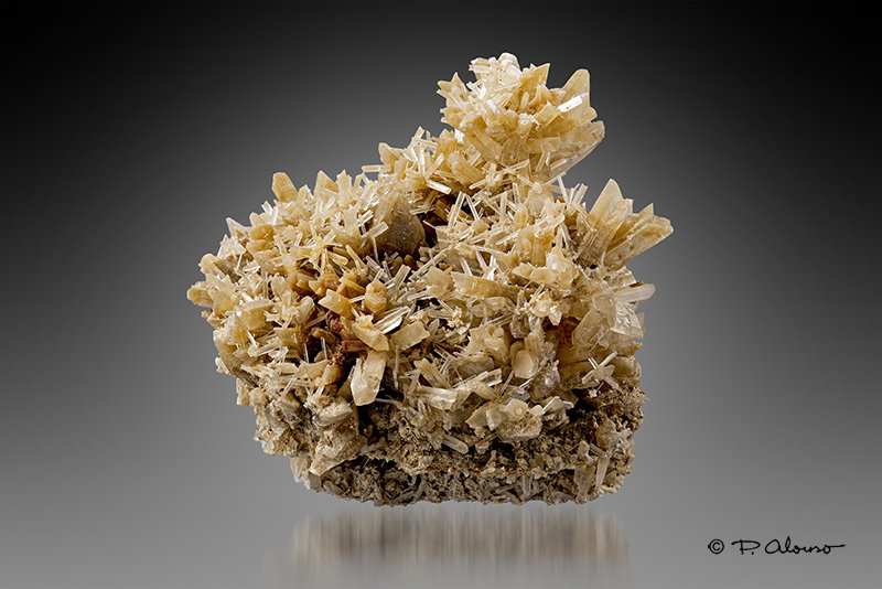 Yeso
5,5cm x 5,5cm x 4cm
(Autor: Pere Alonso)