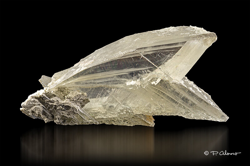 Yeso
El Pilar de Jaravía, Pulpí, Comarca Levante Almeriense, Almería, Andalusia, Spain
11,5cm x 6cm x 2,5cm
(Autor: Pere Alonso)