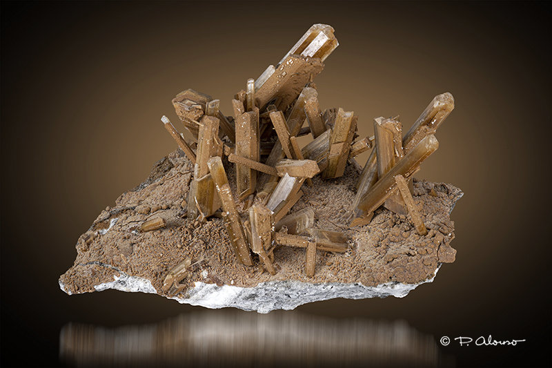 Yeso
12,5cm x 5,5cm x 5cm
(Autor: Pere Alonso)