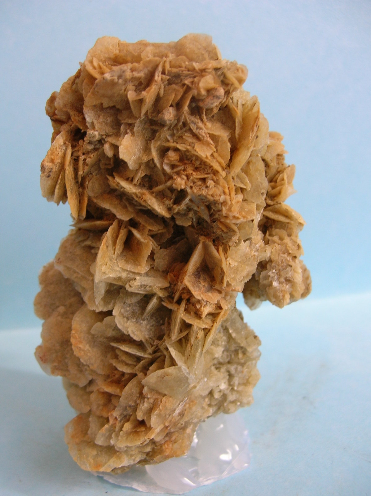 Yeso
9 x 6 cm
(Autor: Pedro Conesa)