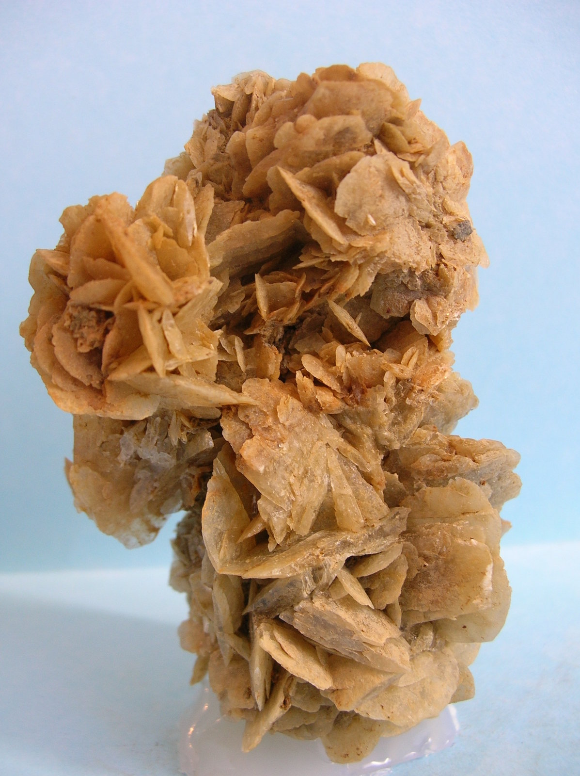 Yeso
9 x 6 cm
(Autor: Pedro Conesa)