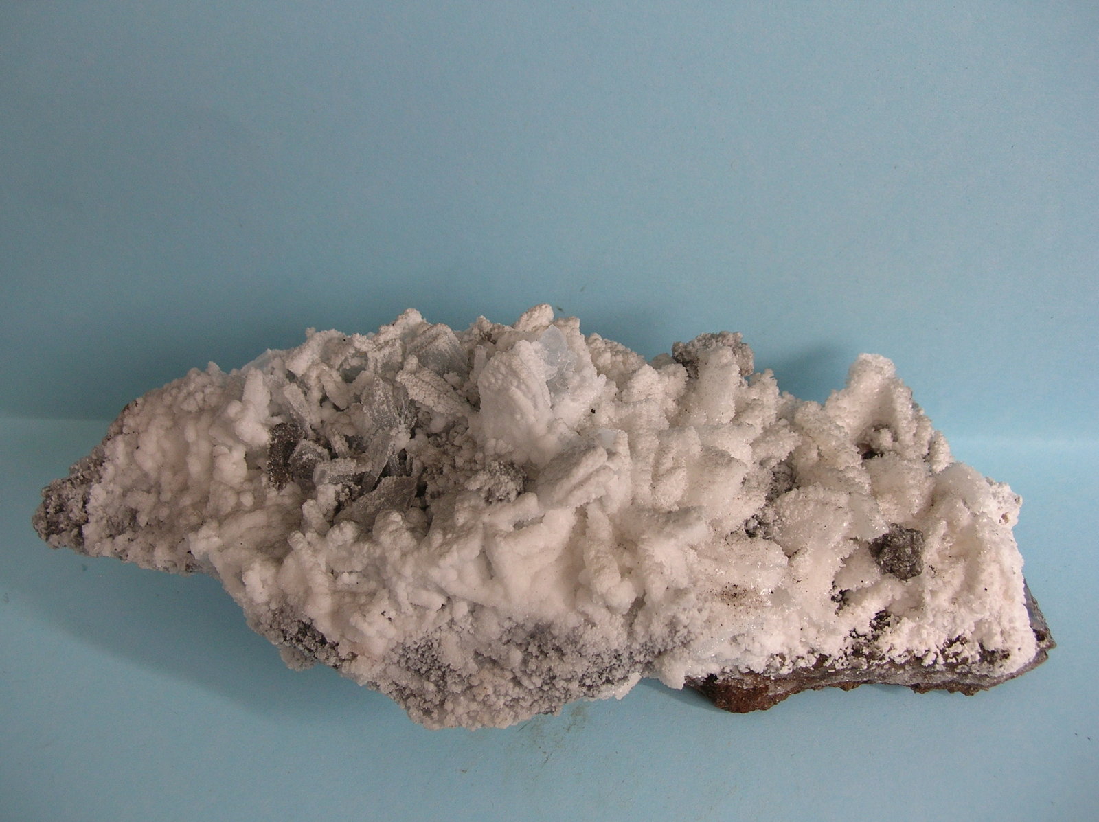 Yeso
19 x 8 x 8 cm
(Autor: Pedro Conesa)
