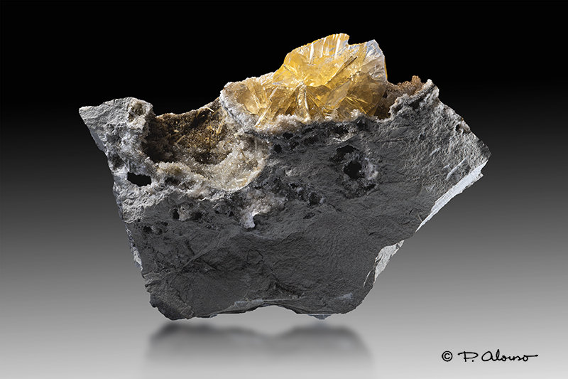 Yeso
11cm x 7cm x 5,5cm
(Autor: Pere Alonso)