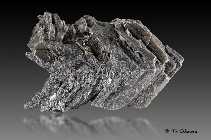 Yeso
11cm x 7,5cm x 4cm
(Autor: Pere Alonso)