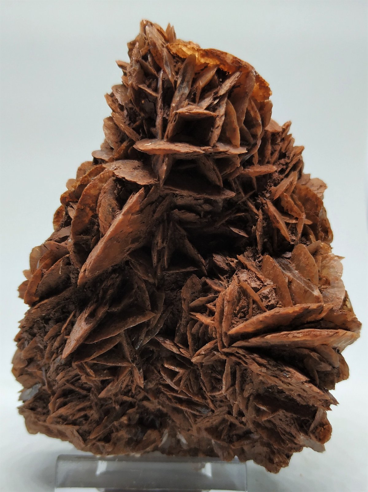 Yeso
10cmx7,5cm
(Autor: Adri Rodríguez)