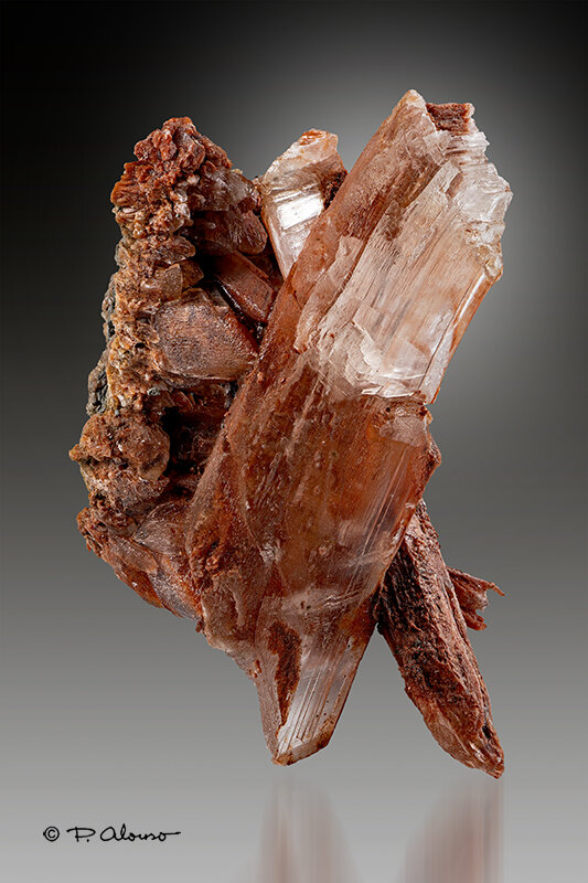 Yeso
Chella, Comarca Canal de Navarrés, Valencia / València, Comunidad Valenciana / Comunitat Valenciana, España
3,5cm x 5cm x 2,5cm
(Autor: Pere Alonso)