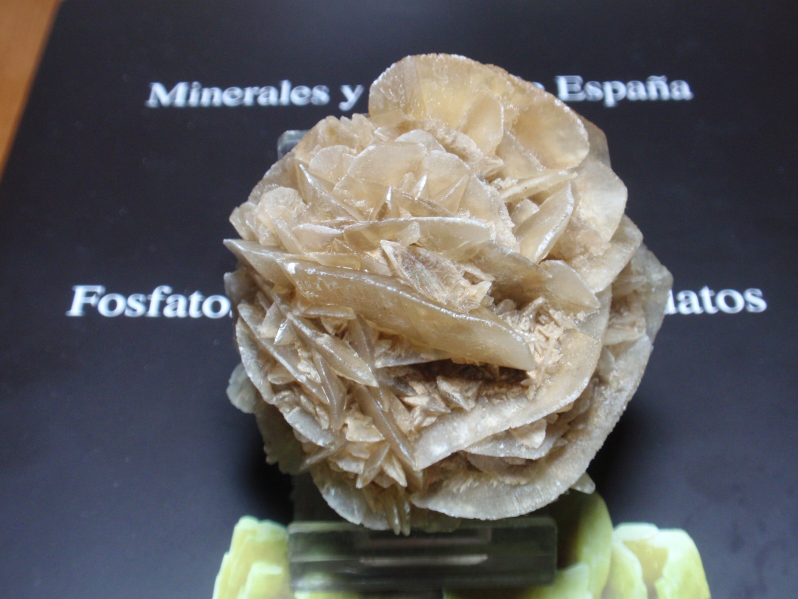 Yeso
60x50 mm
(Autor: Ignacio)