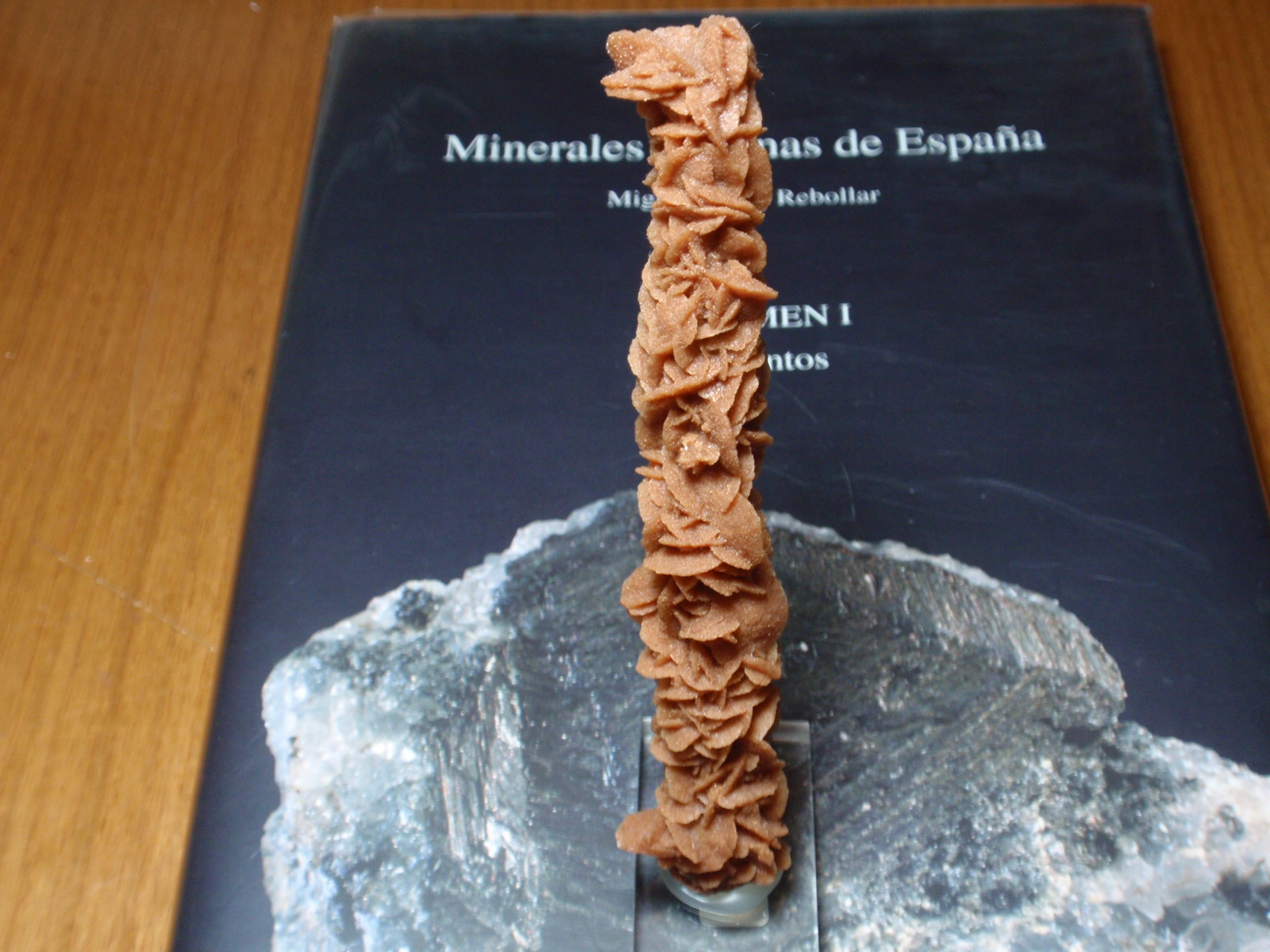 Yeso
20x120 mm
(Autor: Ignacio)