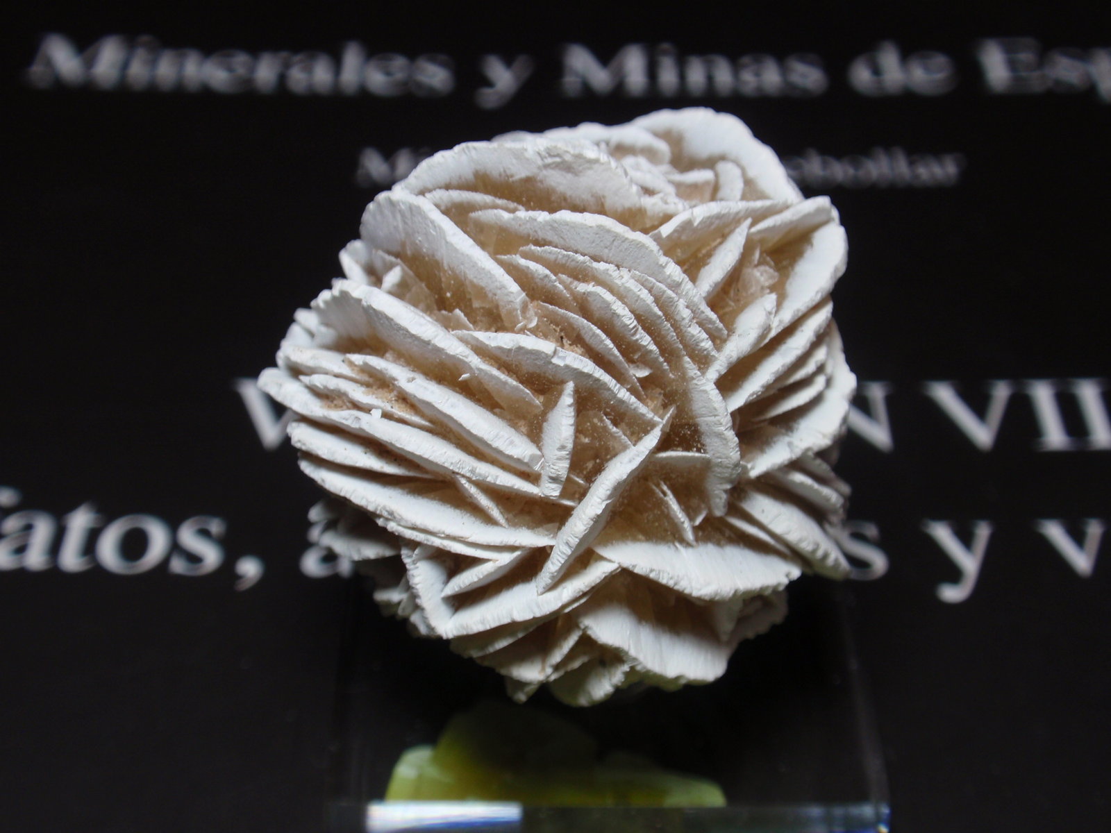 Yeso
30x30 mm
(Autor: Ignacio)