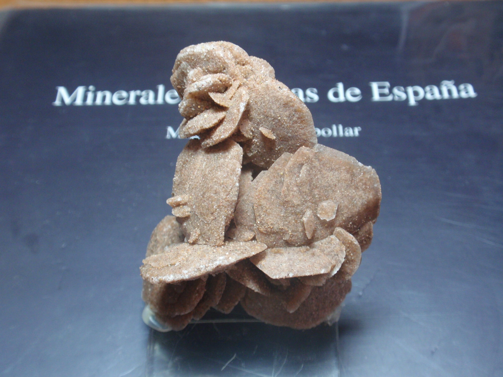 Yeso
45x60 mm
(Autor: Ignacio)