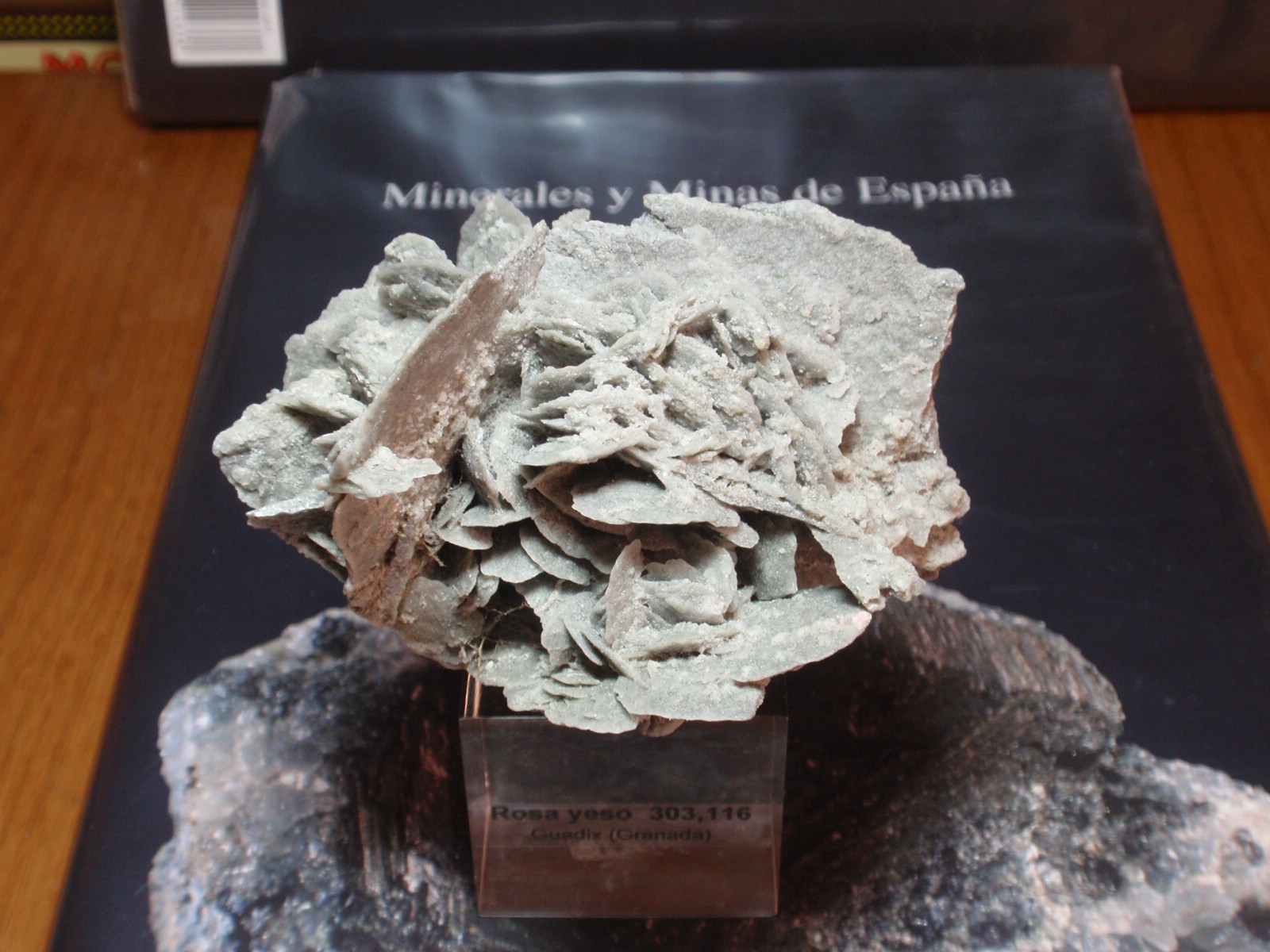Yeso
80x50 mm
(Autor: Ignacio)