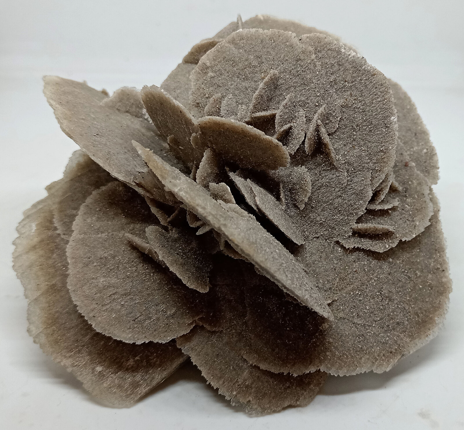 Yeso
Laguna de Guzmán, Rancho Salinas Terrazas, Municipio Ahumada, Chihuahua, México
101x102x85 mm
(Autor: Luis Edmundo Sánchez Roja)