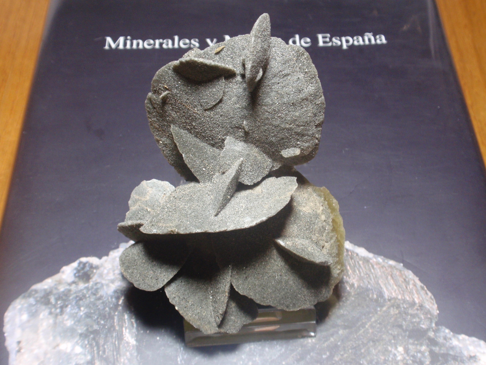 Yeso
70x80 mm
(Autor: Ignacio)