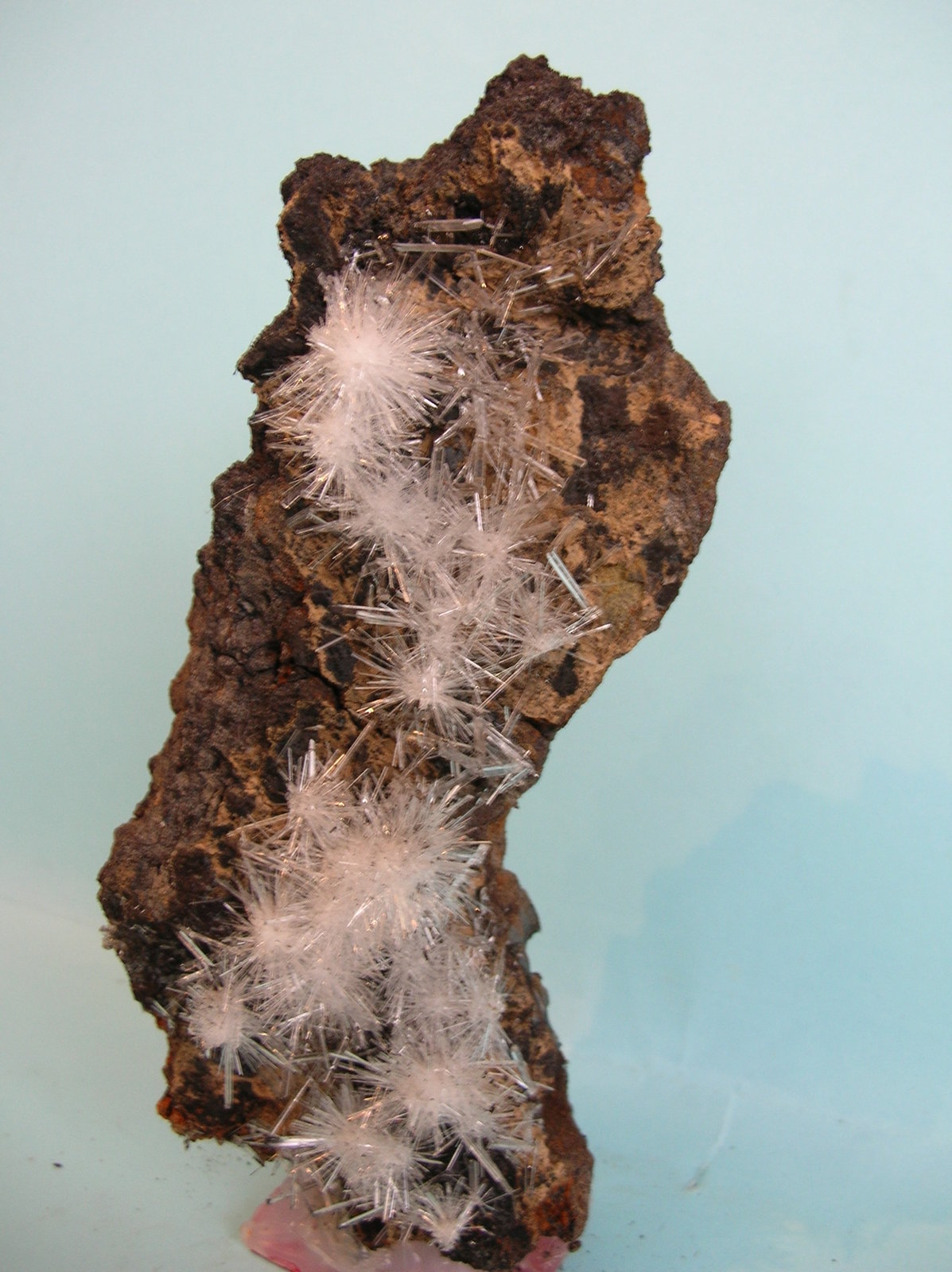 Yeso
15 x 7,5 cm
(Autor: Pedro Conesa)