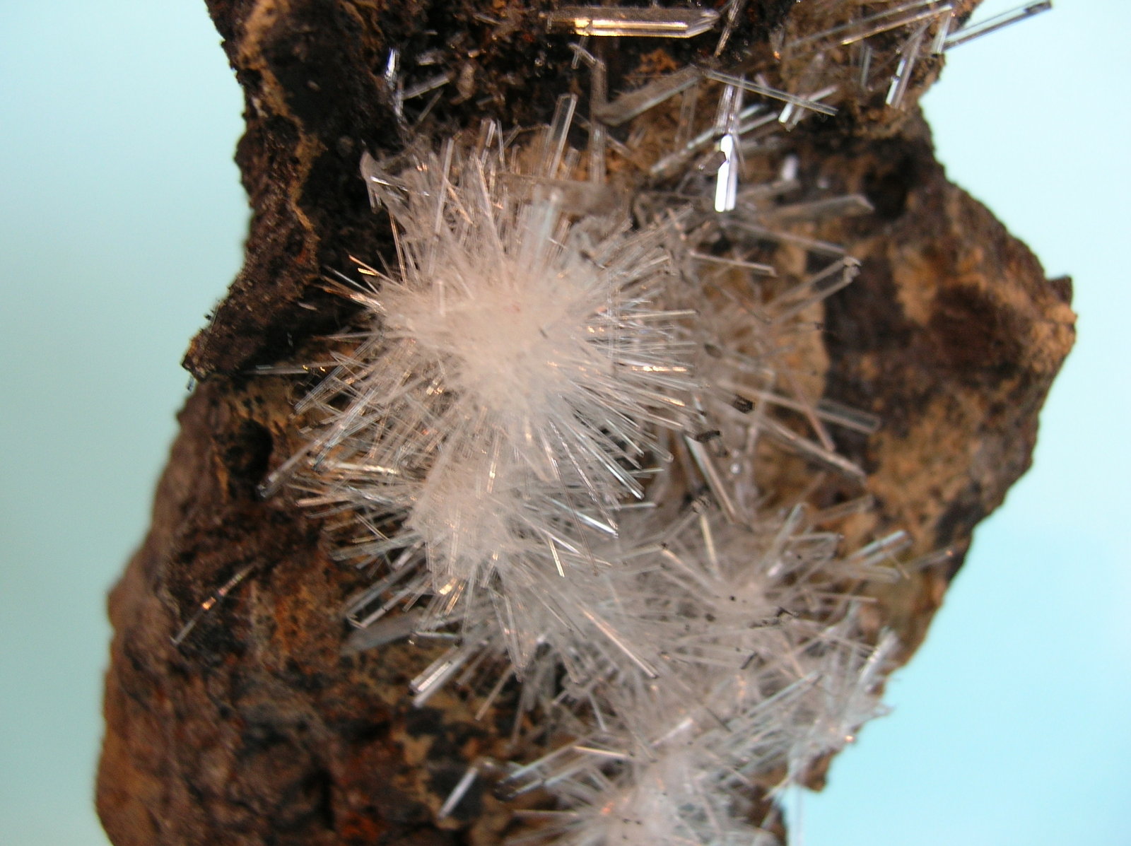 Yeso
15 x 7,5 cm
(Autor: Pedro Conesa)